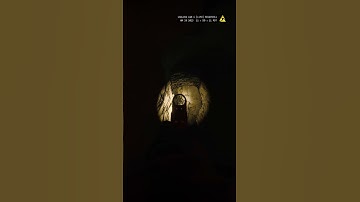 S.W.A.T. involved in shooting. #readyornotgame