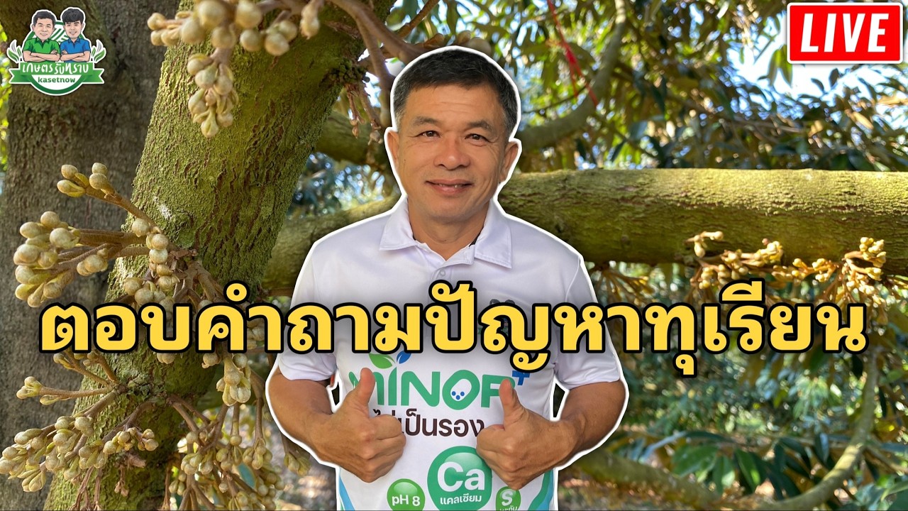 LIVE🔴รับปรึกษาปัญหาทุเรียน วันที่ 16/2/2025
