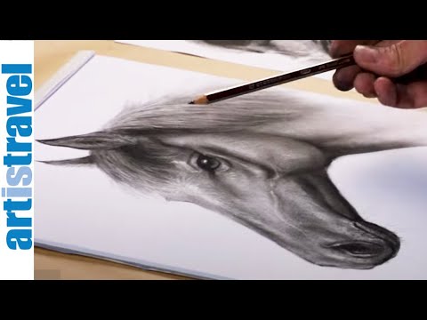 Pferd zeichnen mit Bleistift & Kohle | Ganz einfach zeichnen lernen | draw a horse | Pferd malen