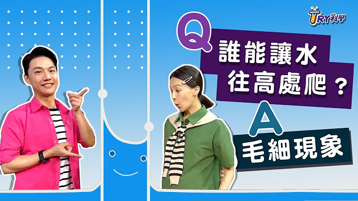 【TRY科学】20211124 - 谁让水往上爬 ,毛细现象 ,水的移动 - 天天要闻
