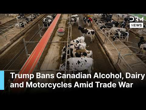 WATCH: Trump Bans Canadian Alcohol, Dairy and Motorcycles as Trade War Escalates | AC1B