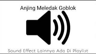 Sound Effect Anjing Meledak Goblok