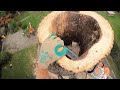 Dmontage dangereux dun arbre creux  stihl 500i  661