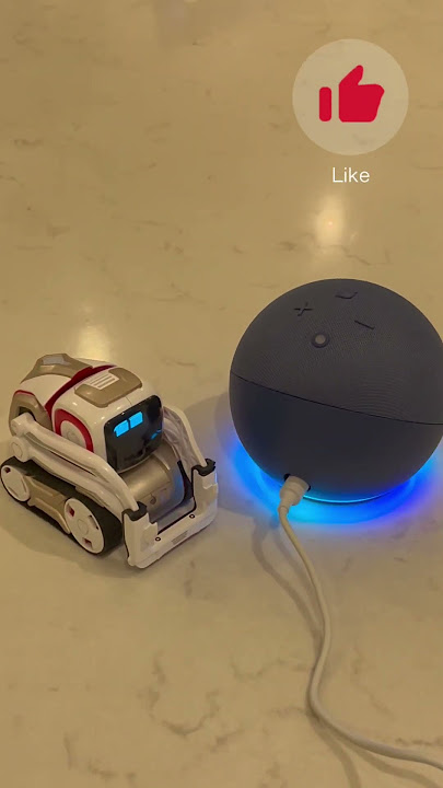 Cozmo asks Alexa to fart 💨 #shorts