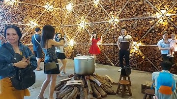 Đường Mai Vàng Lễ Hội Tết Việt 2024 giáp thìn điểm check in lý tưởng