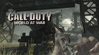 Call of Duty: World at War - Springfield Expert - 3/3 - (PC/PS3/X360/Wii)