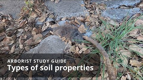 Types of soil properties | Soil Science