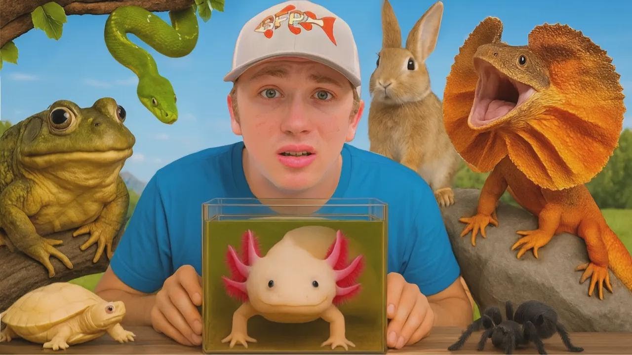 2025년 지금까지 구조한 모든 반려동물 공개!