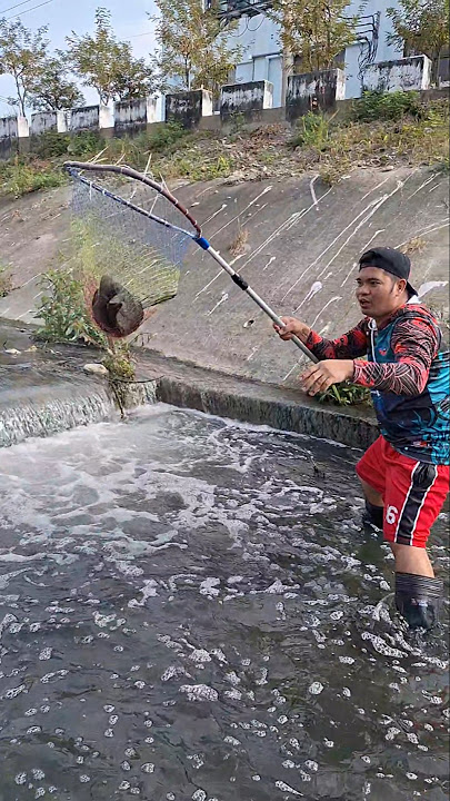 Napakabilis nakahuli ng tilpaia gamit ang sipywa #fishingmethods #just4u