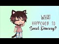 What happened to Smol Danny (an explanation)