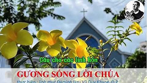Chúa Nhật 31 Thường Niên. Cầu cho các tín hữu đã qua đời.