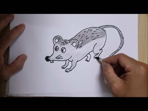 Vẽ và tô màu con chuột cho bé | Drawing and colouring a mouse for baby