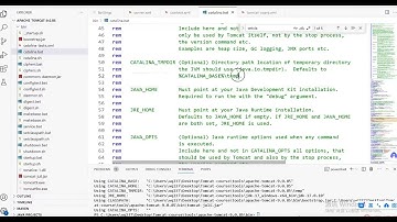 清风-Apache Tomcat 系统精讲 Java面试必备课程