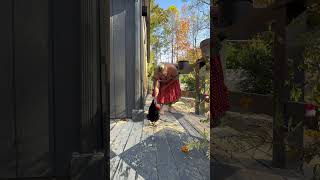 Giving My Chicken A Bath