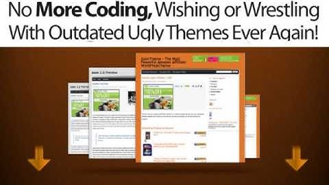 Amazon WordPress Theme and plugins