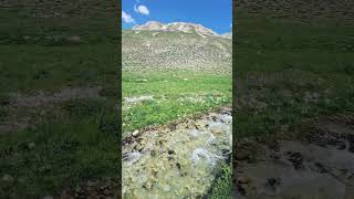 Erzinga/ 9 Temmuz 2026 Müzik: Gul Nare