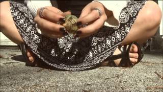 ASMR - Slow Scratching and Tapping on Seashells