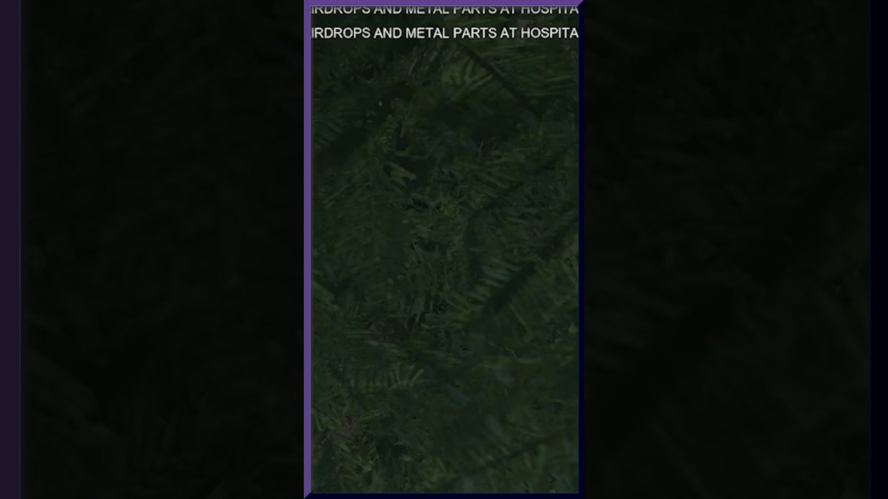 Stupid Miscreated Montage of funny moments to me