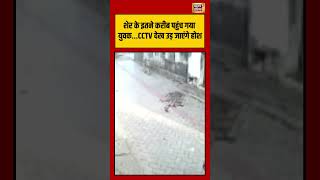 Viral VIdeo | शेर के इतने करीब पहुंच गया युवक   CCTV देख उड़ जाएंगे होश | #viralvideo #shorts