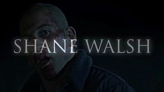 Shane Walsh || Soldier [TWD Tribute]