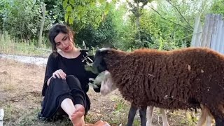 Village Girl Daily Routine : Rural Life | Village Vlog | Rural Girl | Vlog Video | Village Channel