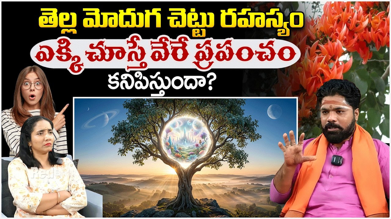 తెల్ల మోదుగ చెట్టు రహస్యం ఎక్కిచూస్తే వేరే ప్రపంచం | TantraSadhan | #redtvbhakthi