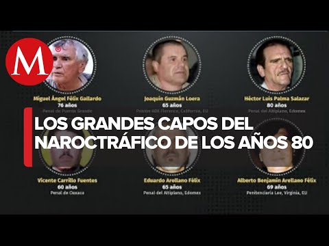 Cártel de Guadalajara, los 'padrinos' del narcotráfico en México