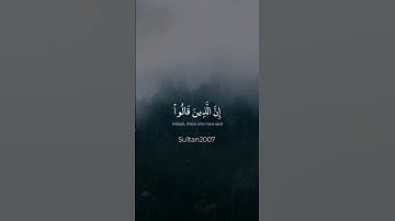 القارئ: ناصر القطامي🤍 سورة فصلت آية (٣٠) #قرآن