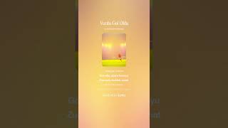 Vurdu Gol Oldu Resimi