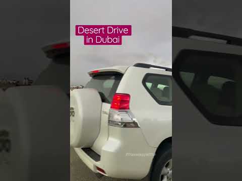 Dubai Desert Drive | Al Ruwayyah #shorts #trendingshorts