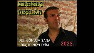 MEHMET CEYLAN Deli ğönlüm sana düştü neyleyim Resimi