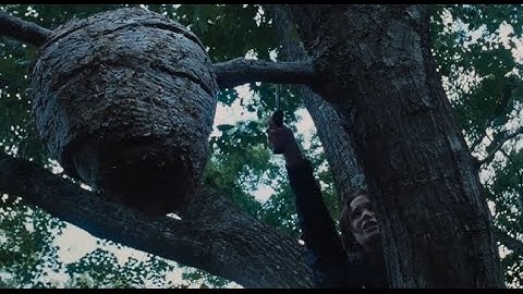 Katniss’ Risky Escape - The Tracker Jacker Trap (The Hunger Games, 2012)