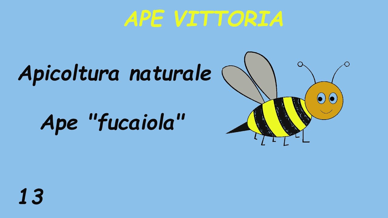Ape fucaiola