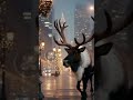 Brandford Marsalis and Boney James | Shorts | Join Me for a Christmas Jazz Tribute 🎷🎸and Sights.