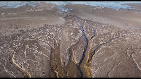 Bringing the Colorado River Delta Back to Life After 16 Dry Years