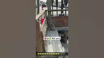 بيدور عليا 
