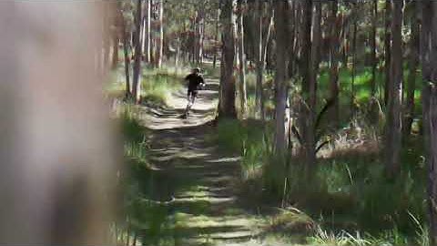 Machine Fox All Terrain - crooze.com.au