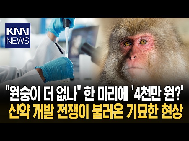신약 개발 경쟁에 '대폭등' 몸값 4천만 원 된 '이 동물'? / KNN