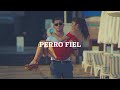 Eda & Serkan || PERRO FIEL