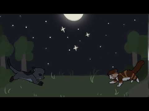 TRY [Leafpool and Squirrelflight map] part 4