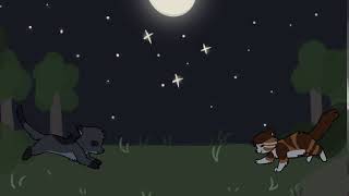 TRY [Leafpool and Squirrelflight map] part 4