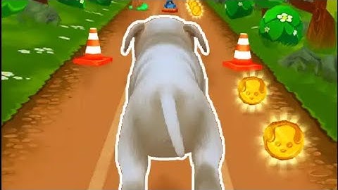 Pet Run - Puppy Dog Game 🐕 | Dog Run | Dog Run 3d Game | Dog Run Game 2023