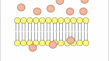 Simple Diffusion Animation