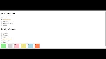 Flexbox direction and justify Content playground style binding vuejs essentials