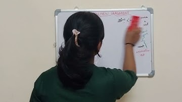 ll Klenow Fragment ll