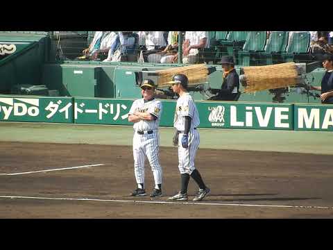 阪神タイガース2018/審判に金村監督と名前間違われたる、そしてリクエスト失敗…金本監督としては受難でしたね。(2018.06.09)