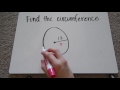 Circumference and Diameter Quiz