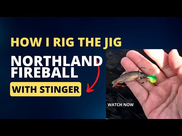How I Rig A Jig. Northland Fireball with Stinger #shorts 