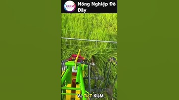 Chiếc máy cắt lá lúa cải tiến từ Thái Lan khiến nông dân mê mẩn#nongdan#nongnghiep#shortvideo