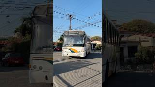 Terranova 325 Marcopolo Torino G6 su destino Córdoba #marcopolo #santiagoelbusologo #busologia